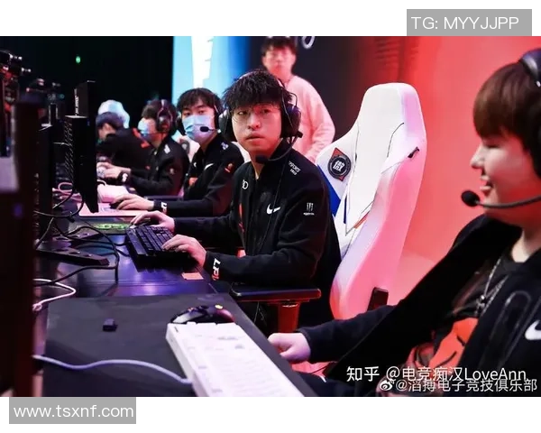 和平精英引发热议TES战队配合问题引发争论与反思