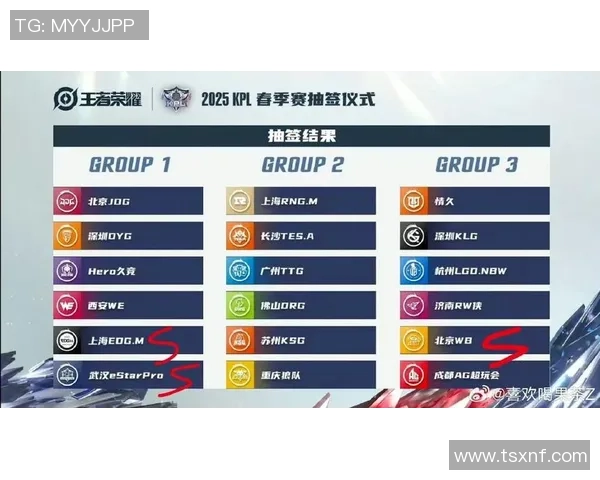 王者荣耀最新节奏排行榜TOP10分析WE战队表现抢眼引发关注